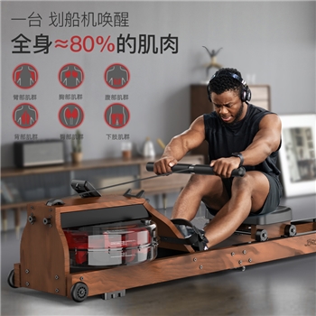 捷瑞特（JOROTO） 美國品牌劃船機劃船器水阻家用有氧健身器材紙牌屋室內MR280